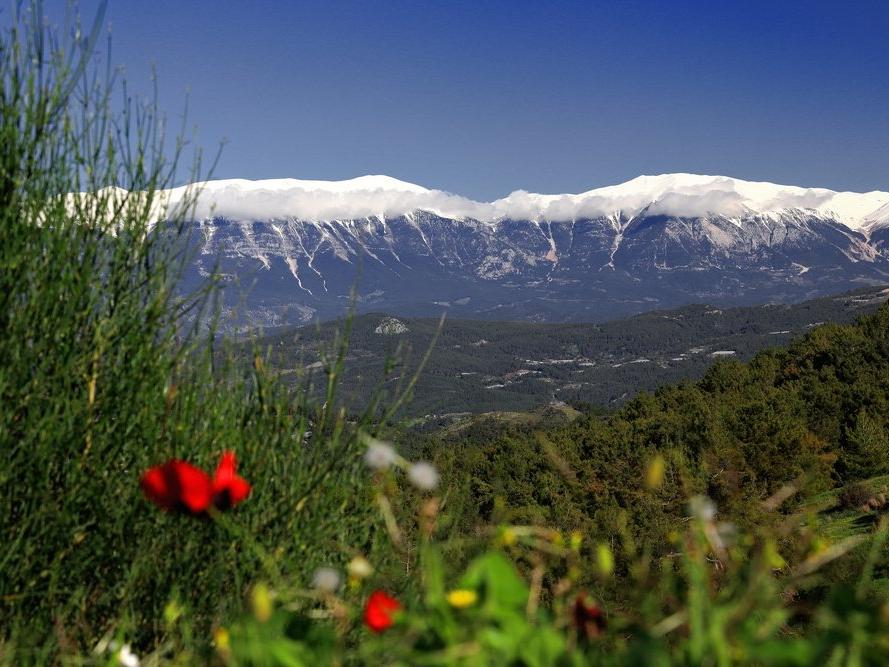 Torosları Keşfet