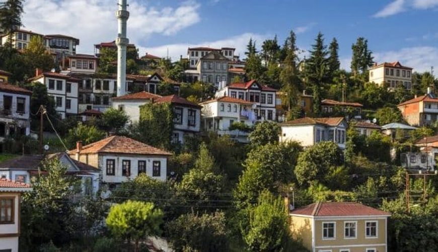 Bodrum Trabzon Uçak Bileti